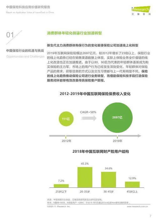 2020年中国保险科技应用价值洞察 信息技术咨询视角